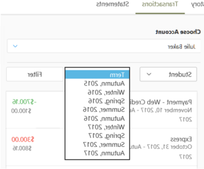 Transaction Term filter